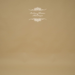 Hintergrund braun-beige 272 cm