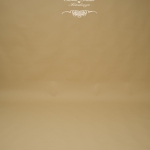 Hintergrund braun-beige 272 cm